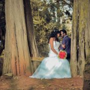 How To Plan A Disaster Wedding short interesting love wedding stories online free read