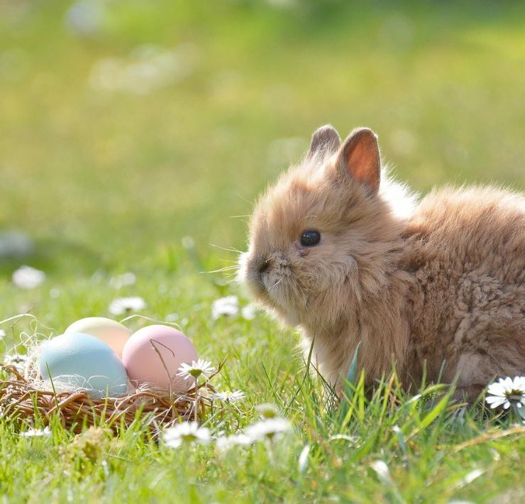 The Fascinating History Behind Our Beloved Easter Traditions